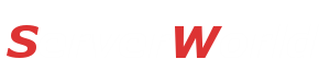 ServerWorld